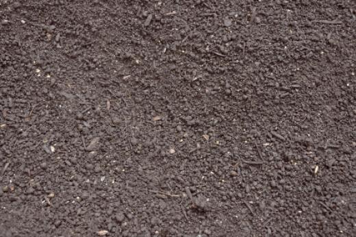Pflanzboden / Mutterboden