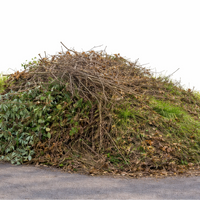 Containerdienst für Grünschnitt Höhl Containerdienst GmbH - Äste, Hecken, Sträucher, Baumschnitt, Strauchschnitt, Astwerk, Laub und Mähgut vom Rasen zur Entsorgung.